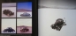 Preview: Vincent "The Bonneville Salt Flats" Motorracing-History 2013 (4723)